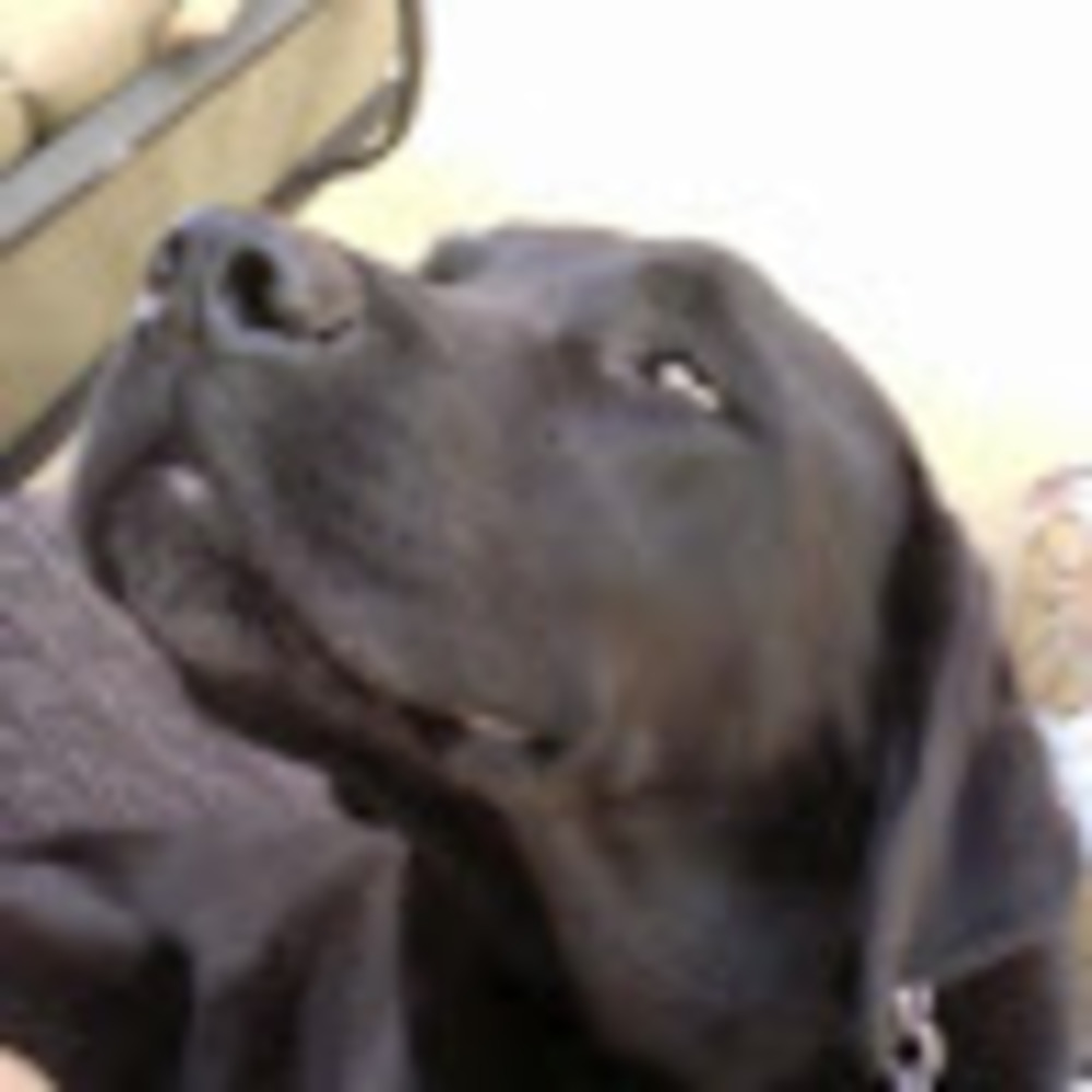 Meet your Posher, Adriana